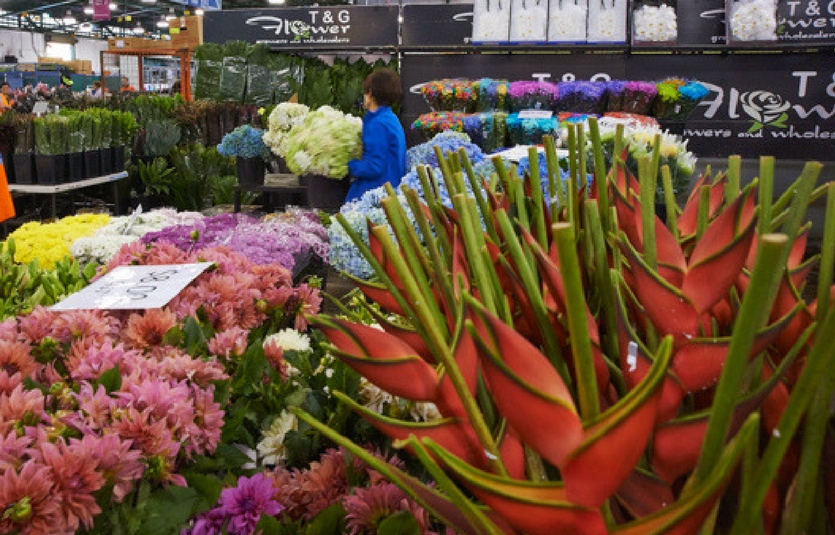Guide to Sydney Flower Market Sydney Markets Sydney Markets